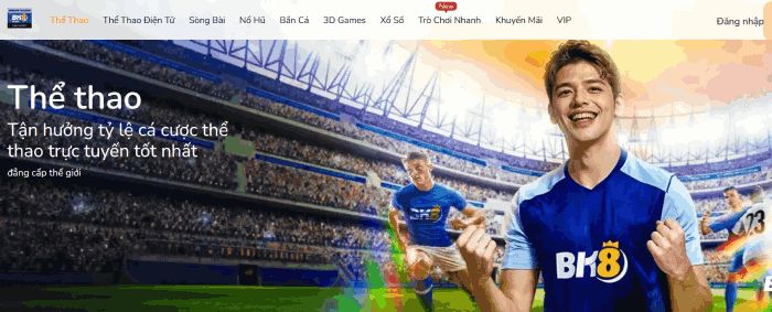 cá cược thể thao BK8